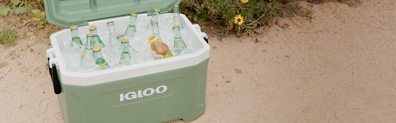 Ecocool – Die weltweit ersten Kühlboxen mit Hartschalen aus recyceltem Kunststoff